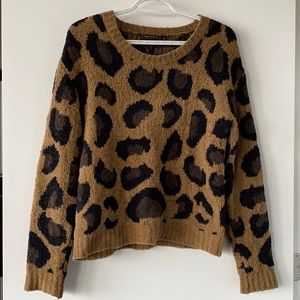 Cozy BCBG Sweater